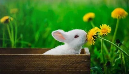 华体会官方网站首页-西甲中锋无球跑动模式对防线施压模式研究，无球跑位阻挡犯规