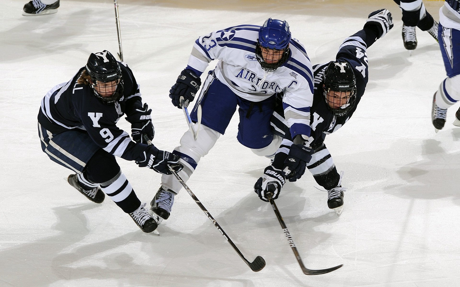 场馆设施智能化改造全面展开,场馆智能化管理系统方案