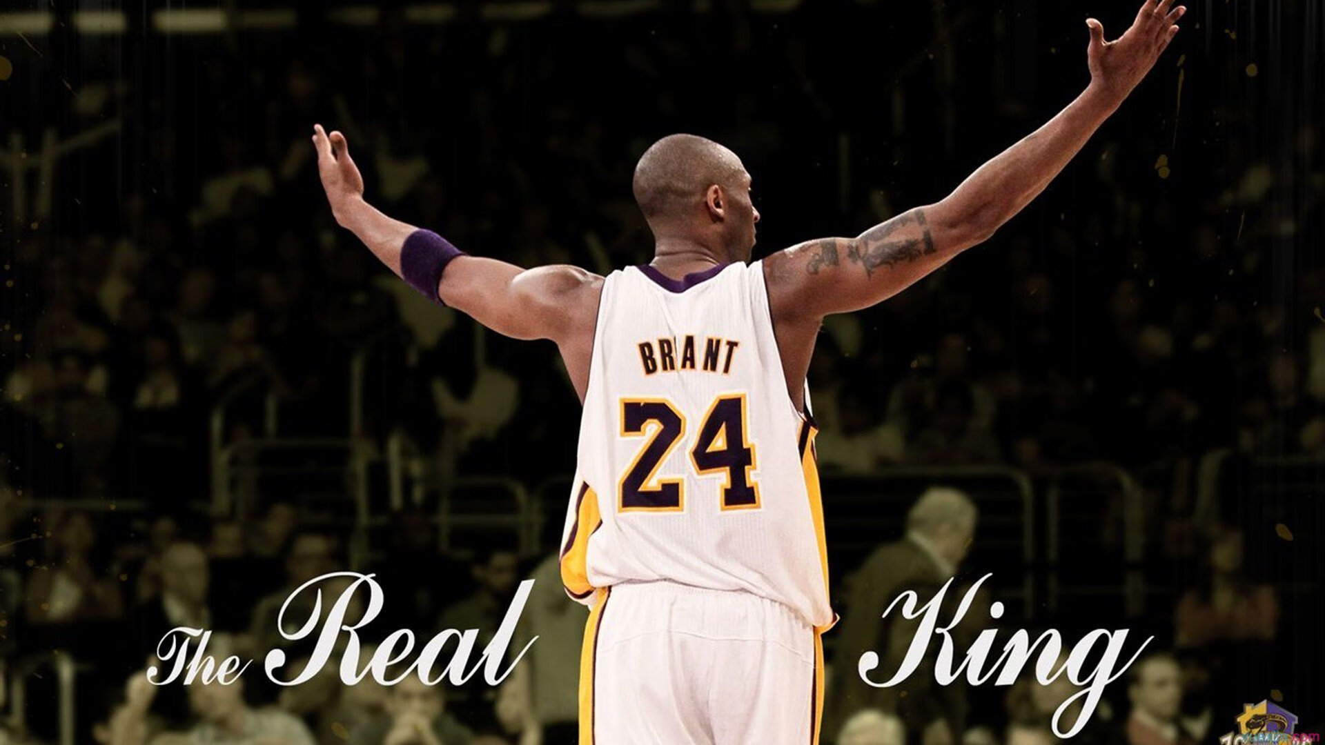 皮特·斯图斯：打破纪录，刷新南非队防守新标准，南非球员